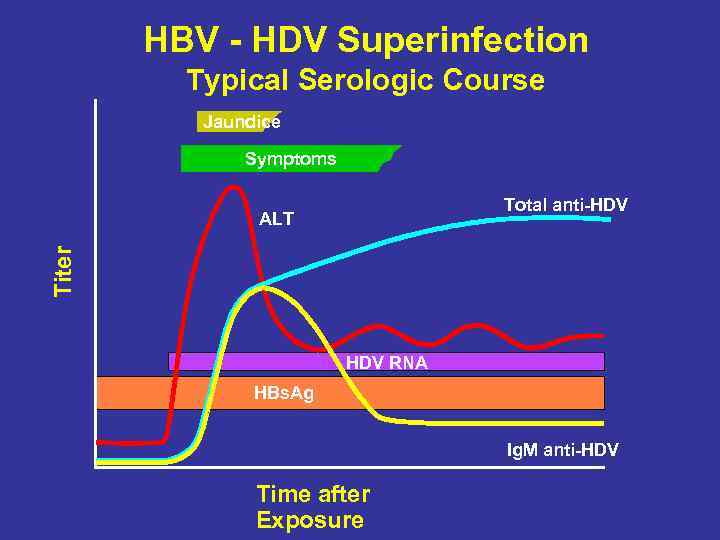 HBV - HDV Superinfection Typical Serologic Course Jaundice Symptoms Total anti-HDV Titer ALT HDV