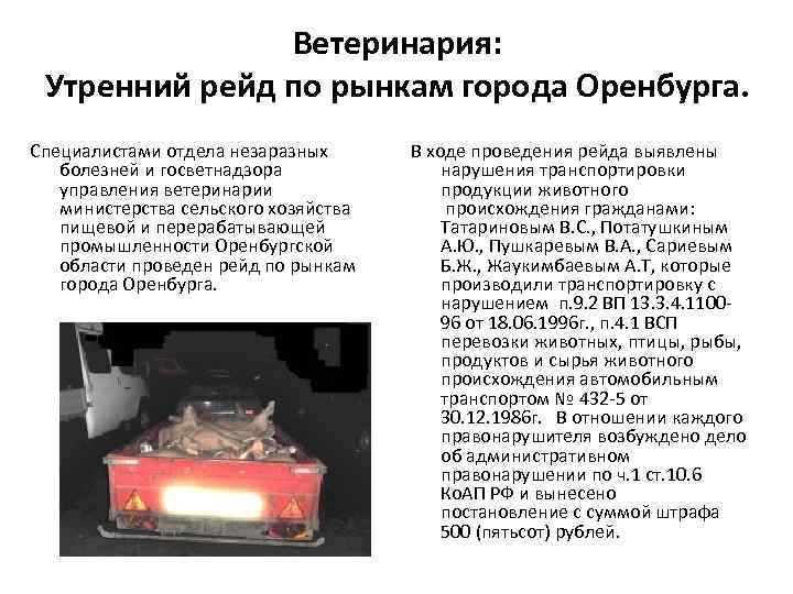 Ветеринария: Утренний рейд по рынкам города Оренбурга. Cпециалистами отдела незаразных болезней и госветнадзора управления