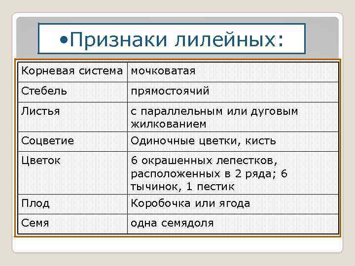  • Признаки лилейных: Корневая система мочковатая Стебель прямостоячий Листья с параллельным или дуговым