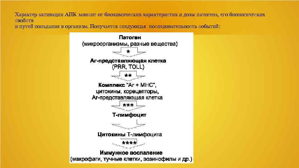 Характер активации АПК зависит от биохимических характеристик и дозы патогена, его биологических свойств и