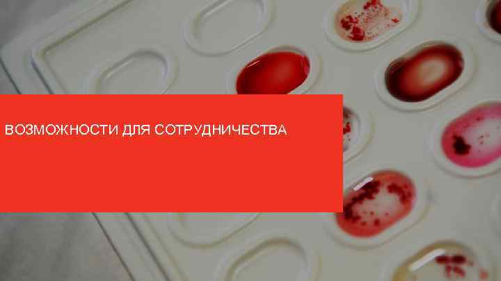 ВОЗМОЖНОСТИ ДЛЯ СОТРУДНИЧЕСТВА 