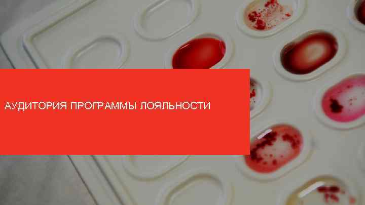 АУДИТОРИЯ ПРОГРАММЫ ЛОЯЛЬНОСТИ 
