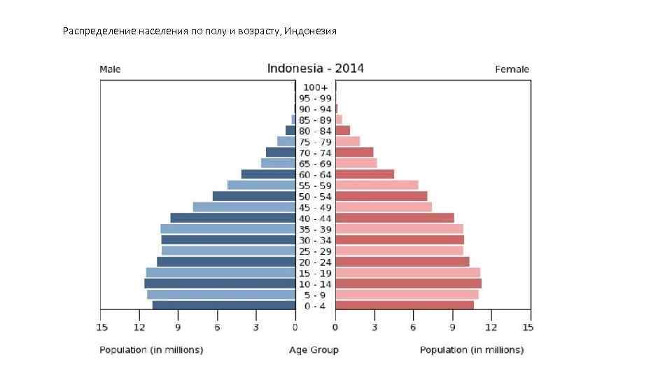 Распределение населения по полу и возрасту, Индонезия 