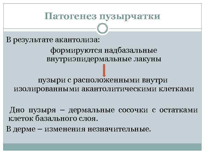 Патогенез пузырчатки В результате акантолиза: формируются надбазальные внутриэпидермальные лакуны пузыри с расположенными внутри изолированными