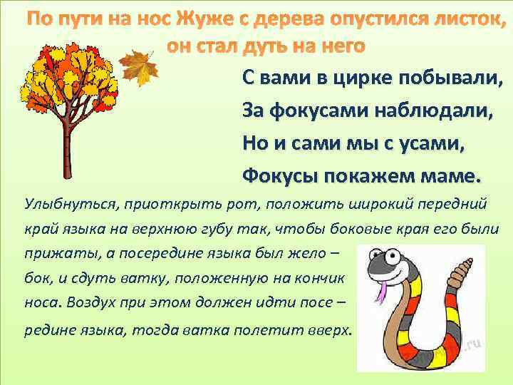 По пути на нос Жуже с дерева опустился листок, он стал дуть на него