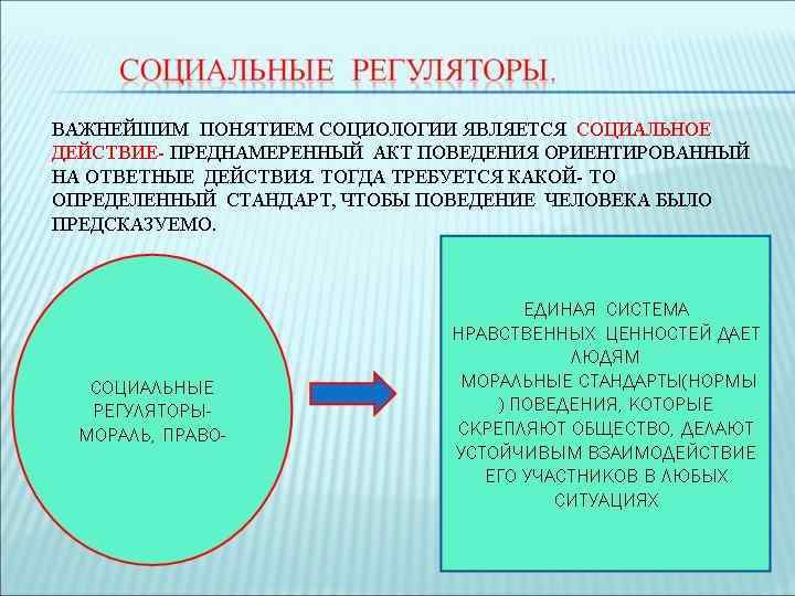 Право в системе социальных норм 