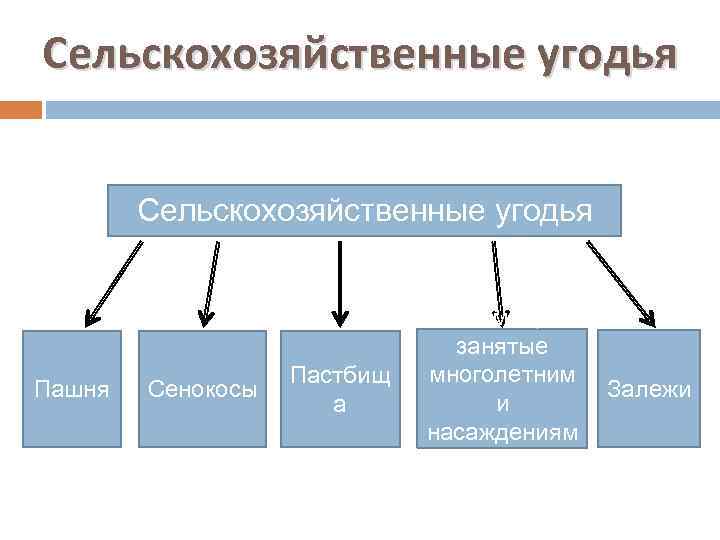 Сельскохозяйственные угодья Пашня Сенокосы Пастбищ а Земли, занятые многолетним и насаждениям и Залежи 