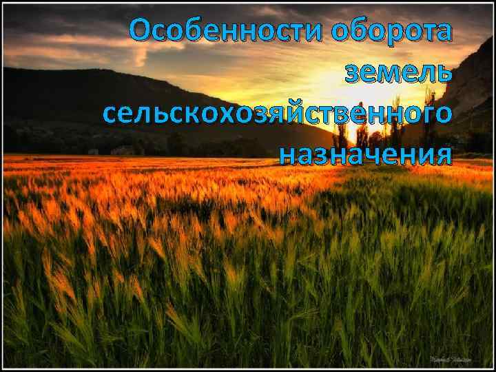 Особенности оборота земель сельскохозяйственного назначения 