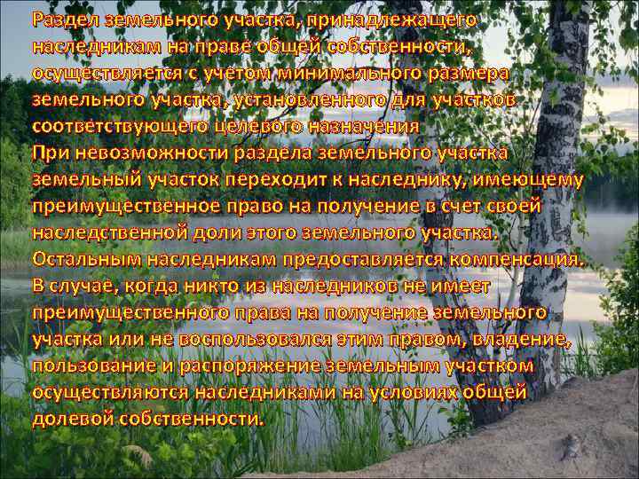 Раздел земельного участка, принадлежащего наследникам на праве общей собственности, осуществляется с учетом минимального размера