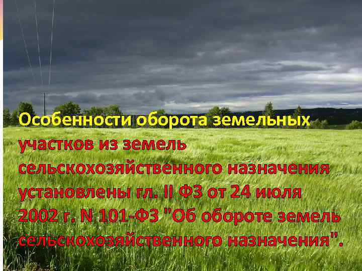 Особенности оборота земельных участков из земель сельскохозяйственного назначения установлены гл. II ФЗ от 24