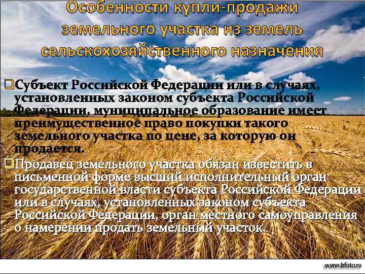 Особенности купли-продажи земельного участка из земель сельскохозяйственного назначения q. Субъект Российской Федерации или в