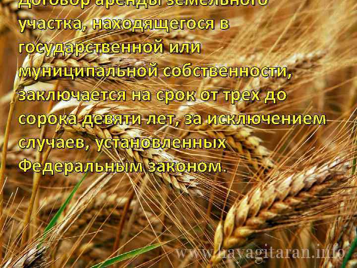 Договор аренды земельного участка, находящегося в государственной или муниципальной собственности, заключается на срок от