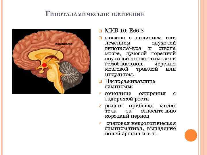 ГИПОТАЛАМИЧЕСКОЕ q q q ü ü ü ОЖИРЕНИЕ МКБ-10: E 66. 8 связано с