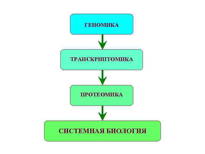 ГЕНОМИКА ТРАНСКРИПТОМИКА ПРОТЕОМИКА СИСТЕМНАЯ БИОЛОГИЯ 