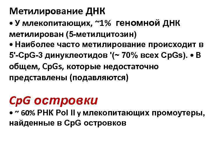 Метилирование ДНК • У млекопитающих, ~1% геномной ДНК метилирован (5 -метилцитозин) • Наиболее часто