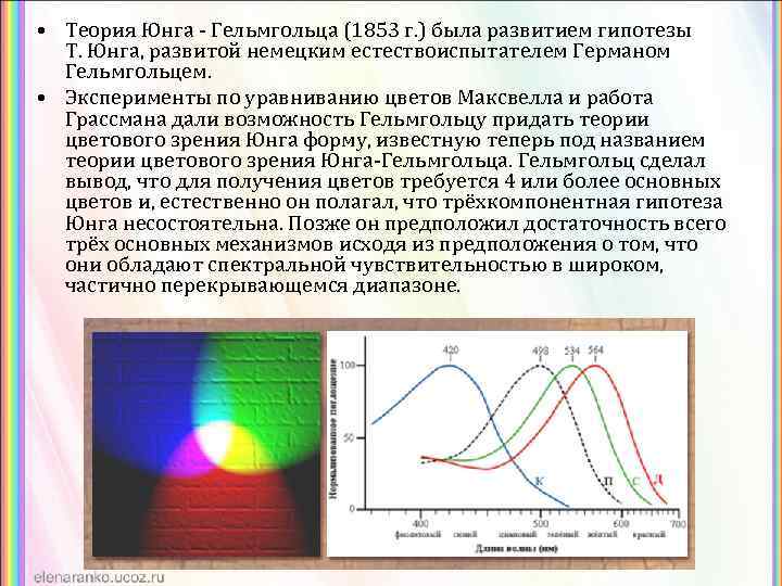 Напряжение юнга. Теория Юнга Гельмгольца. Теория цветового зрения Гельмгольца. Теория цвета Юнга-Гельмгольца. Трёхкомпонентная теория цветового зрения Гельмгольц.