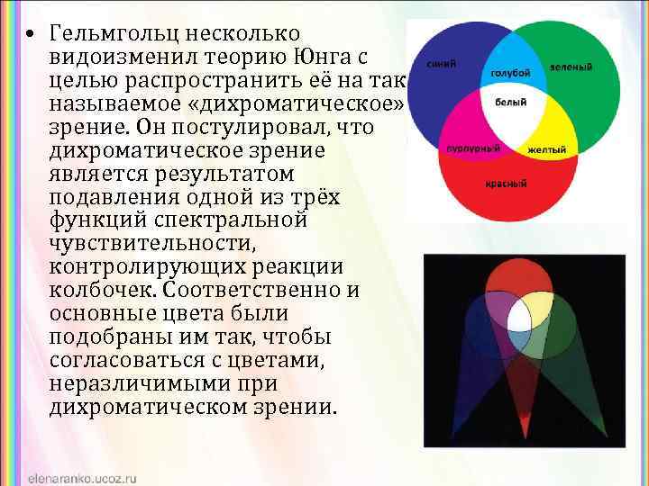  • Гельмгольц несколько видоизменил теорию Юнга с целью распространить её на так называемое