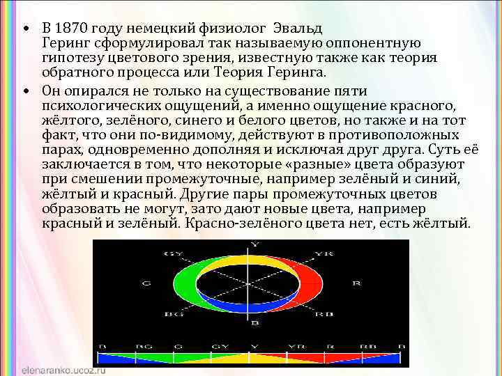  • В 1870 году немецкий физиолог Эвальд Геринг сформулировал так называемую оппонентную гипотезу