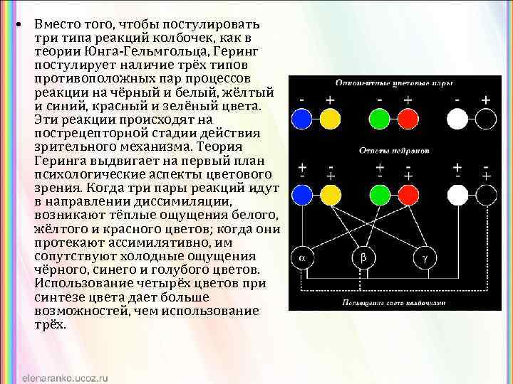 Теории зрения. Теория оппонентных цветов Геринга. Теория Ломоносова-Юнга-Гельмгольца. Теории цветового зрения Юнга-Гельмгольца. Теория Геринга о восприятии цвета.