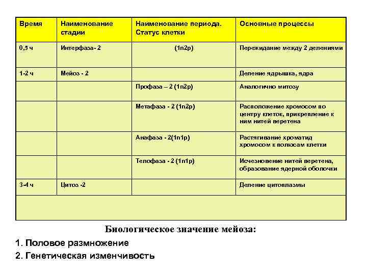 Генетическое размножение. Периоды интерфазы таблица. Начальный период Продолжительность основные процессы таблица. Интерфаза и ее периоды таблица. Периоды интерфазы и основные процессы.