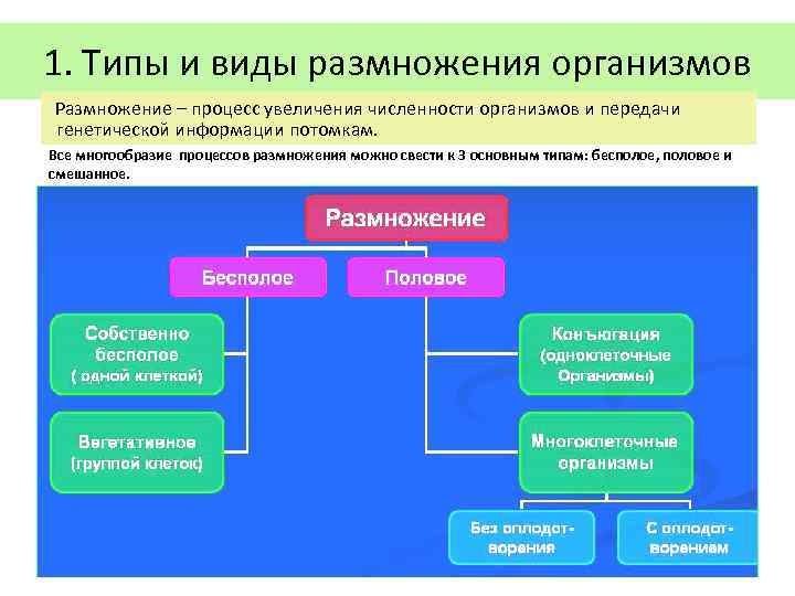 Увеличение числа организмов. Типы процессов размножения организмов. Размножение это процесс. Смешанное размножение это. Размножение это процесс увеличения.