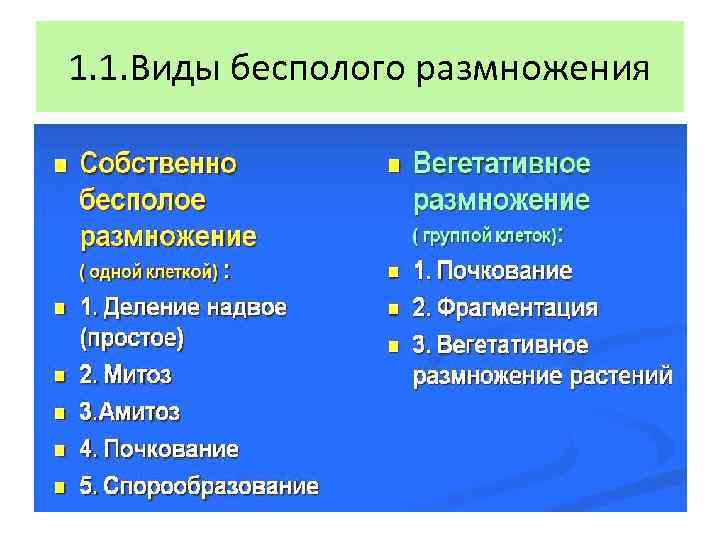 1. 1. Виды бесполого размножения 
