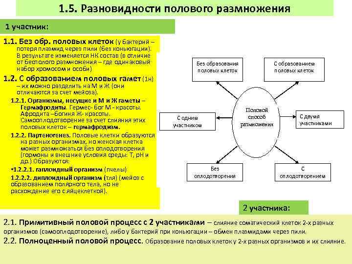 1. 5. Разновидности полового размножения 1 участник: 1. 1. Без обр. половых клеток (у