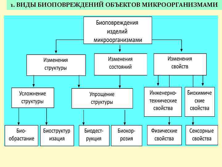 1. ВИДЫ БИОПОВРЕЖДЕНИЙ ОБЪЕКТОВ МИКРООРГАНИЗМАМИ 