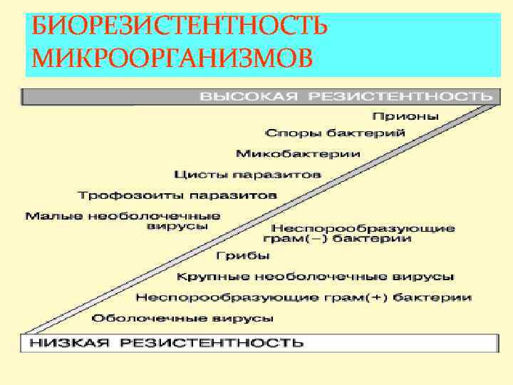 БИОРЕЗИСТЕНТНОСТЬ МИКРООРГАНИЗМОВ 