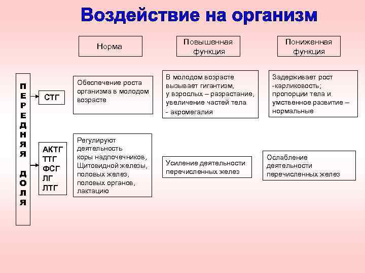 Повышенная функция Пониженная функция СТГ Обеспечение роста организма в молодом возрасте В молодом возрасте