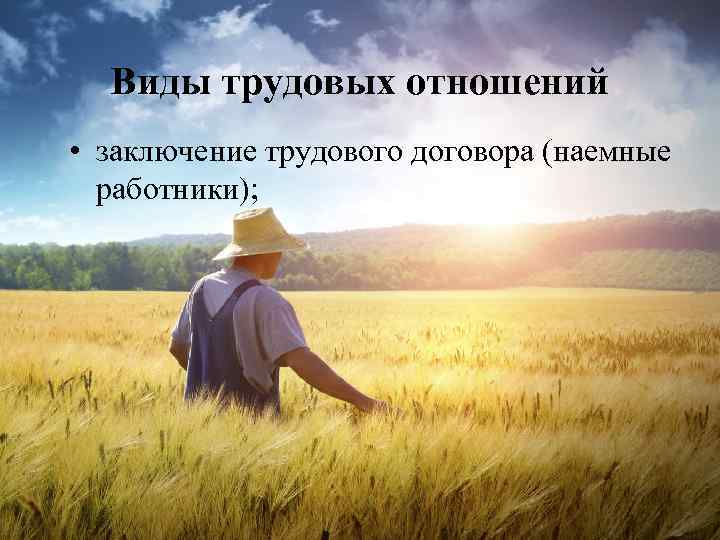 Виды трудовых отношений • заключение трудового договора (наемные работники); 