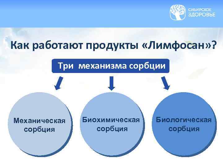 Как работают продукты «Лимфосан» ? Три механизма сорбции Механическая сорбция Биохимическая сорбция Биологическая сорбция