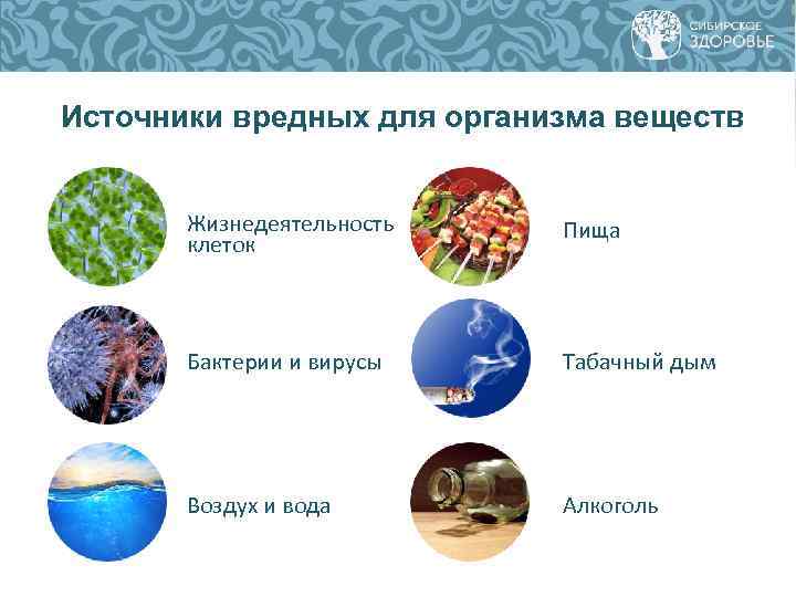 Источники вредных для организма веществ Жизнедеятельность клеток Пища Бактерии и вирусы Табачный дым Воздух