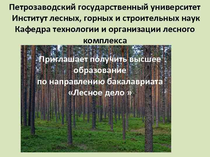 Петрозаводский государственный университет Институт лесных, горных и строительных наук Кафедра технологии и организации лесного
