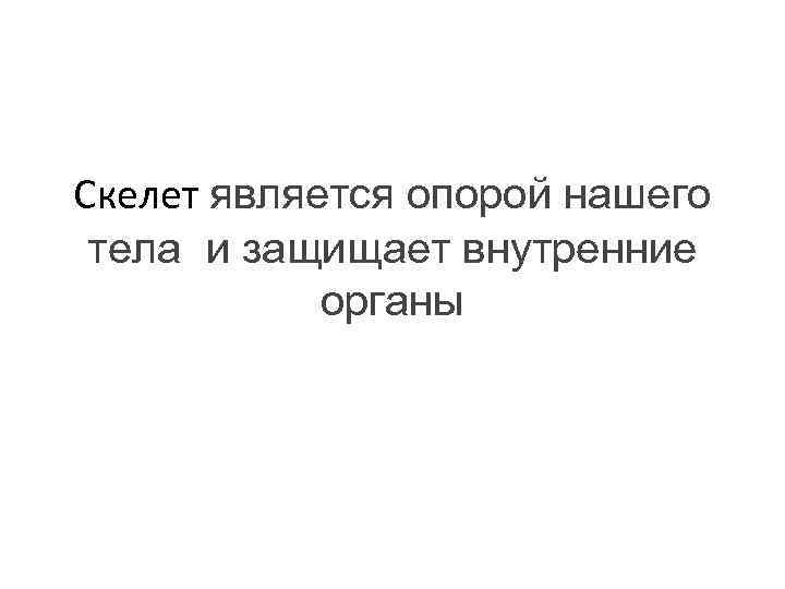 Скелет является опорой нашего тела и защищает внутренние органы 