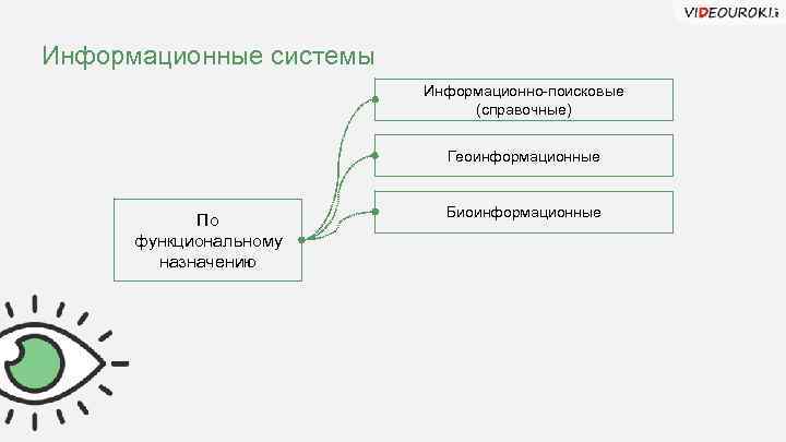 Информационные системы Информационно-поисковые (справочные) Геоинформационные По функциональному назначению Биоинформационные 