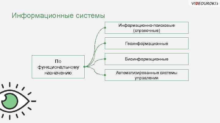 Информационные системы Информационно-поисковые (справочные) Геоинформационные По функциональному назначению Биоинформационные Автоматизированные системы управления 