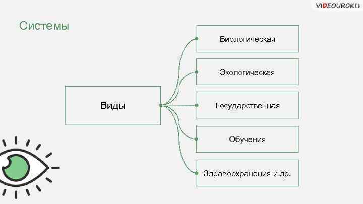 Модель биологической системы. Модель биологической системы Информатика. Открытые системы это в информатике. Открытая система Информатика. Биологическая модель образования.