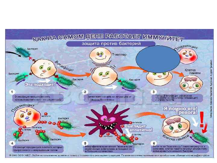 Иммунный будь здоров. Иммунитет против вирусов. Иммунитет против бактерий. Рисунки на тему иммунитет. Вирусы против бактерий.