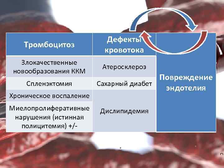 Тромбоцитоз Дефекты кровотока Злокачественные новообразования ККМ Атеросклероз Спленэктомия Хроническое воспаление Миелопролиферативные нарушения (истинная полицитемия)