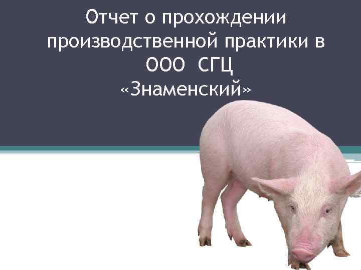 Отчет о прохождении производственной практики в ООО СГЦ «Знаменский» 