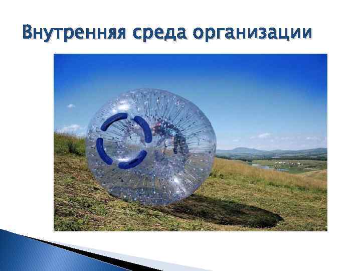 Внутренняя среда организации 