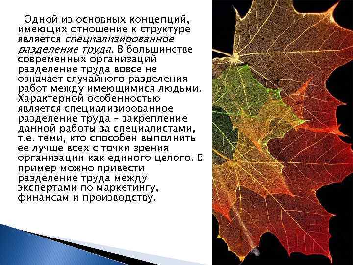 Одной из основных концепций, имеющих отношение к структуре является специализированное разделение труда. В большинстве