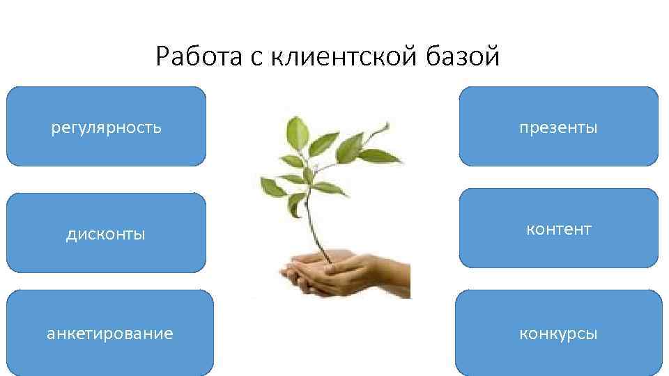 Работа с клиентской базой регулярность презенты дисконты контент анкетирование конкурсы 