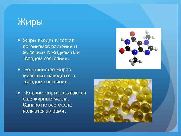 Жиры входят в состав организмов растений и животных в жидком или твердом состоянии. Большинство