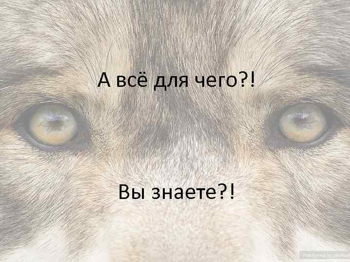 А всё для чего? ! Вы знаете? ! 