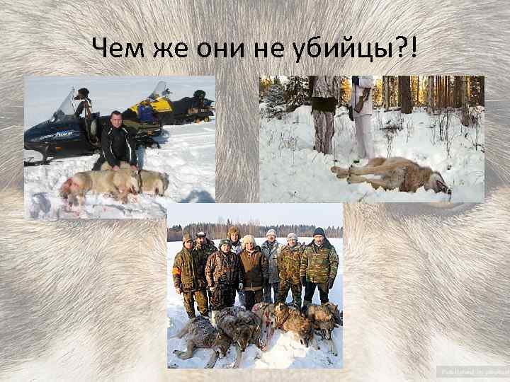 Чем же они не убийцы? ! 
