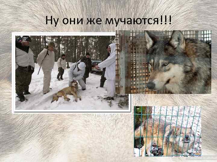 Ну они же мучаются!!! 