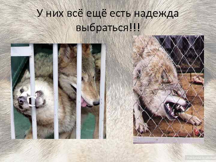 У них всё ещё есть надежда выбраться!!! 