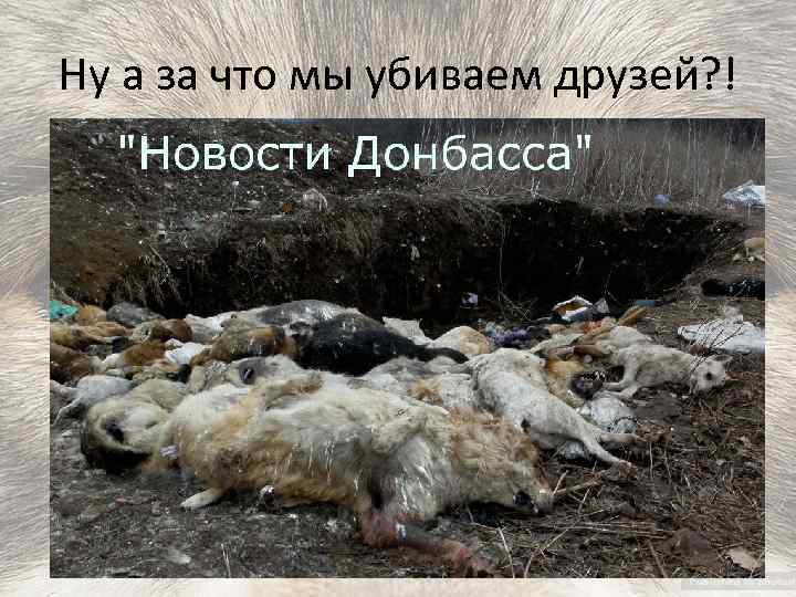 Ну а за что мы убиваем друзей? ! 